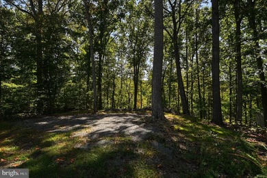 Waterfront lot with dock in Blue Ridge Shores: Nestled within - photo 47