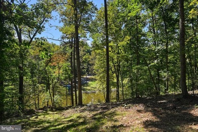 Waterfront lot with dock in Blue Ridge Shores: Nestled within - photo 49