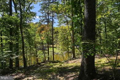 Waterfront lot with dock in Blue Ridge Shores: Nestled within - photo 50
