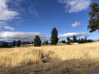 Lake Lot Off Market in Chiloquin, Oregon