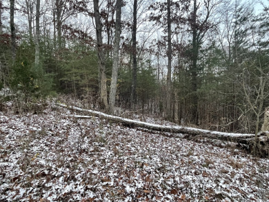 1 Acre Lake Cumberland Lake View Building Lot - photo 5
