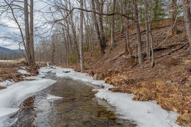 Lake Acreage For Sale in Dublin, Virginia