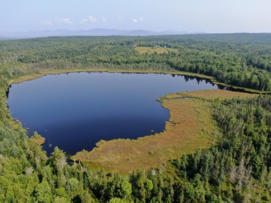 (private lake, pond, creek) Acreage For Sale in Brownville Maine