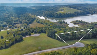 Lake Acreage For Sale in Decatur, Tennessee