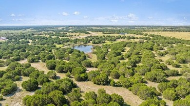 (private lake, pond, creek) Acreage For Sale in Lampasas Texas
