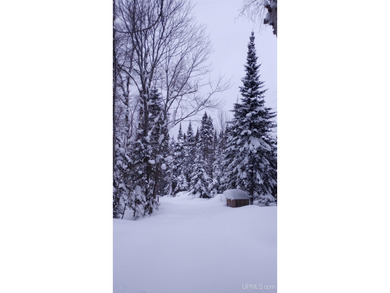 (private lake, pond, creek) Acreage For Sale in Grand Marais Michigan