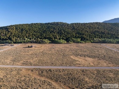 Own your own piece of paradise near pristine Henry's Lake. These - photo 17