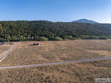 Own your own piece of paradise near pristine Henry's Lake. These - photo 18