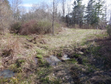 New Listing near Benson Landing Lake Champlain - photo 2