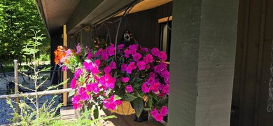 Nestled on 5 picturesque acres along the iconic Tunnel of Trees - photo 36