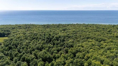 Nestled on 5 picturesque acres along the iconic Tunnel of Trees - photo 48