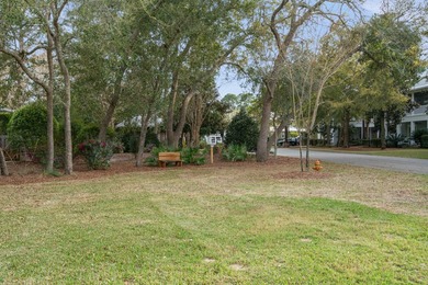 Southern charm and serenity exude from this well maintained - photo 50