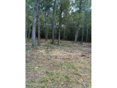 2 adjacent lots, lots 4 & 5 ( both lots are buildable lots) - photo 1