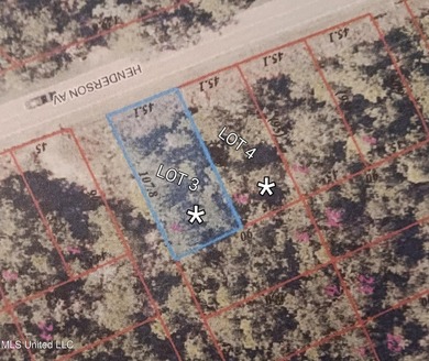 2 adjacent lots, lots 4 & 5 ( both lots are buildable lots) - photo 3