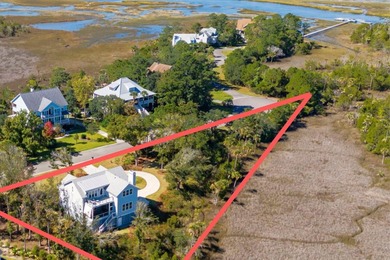 The perfect low country setting - private, with incredible water - photo 35