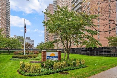 Trump Village - Section 4

Updated one-bedroom apartment