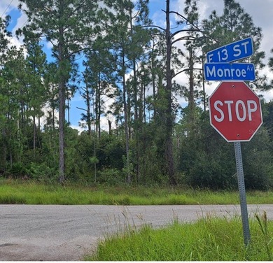 Lehigh Acres Area Lot For Sale in Lehigh Acres Florida