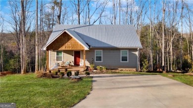 Lake Home For Sale in Morganton, Georgia