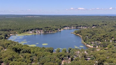 Great opportunity in the heart of Ridge! Perfect for first-time - photo 3