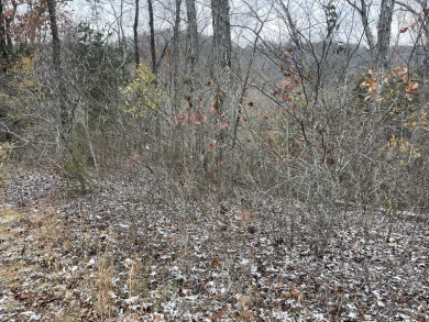1 Acre Lake Cumberland Lake View Building Lot - photo 4