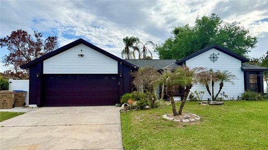 NO HOA! Lovely home located in Buenaventura Lakes. 4 bedrooms - photo 9