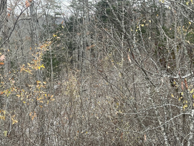 1 Acre Lake Cumberland Lake View Building Lot - photo 3