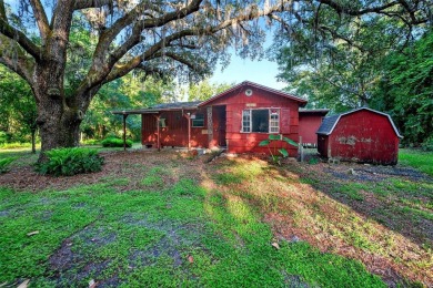 Lake Home For Sale in Astor, Florida