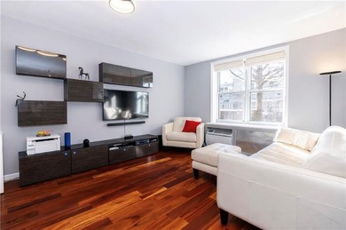 Sun-filled, fully renovated 800 SF home with a modern open