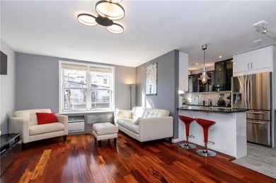 Sun-filled, fully renovated 800 SF home with a modern open