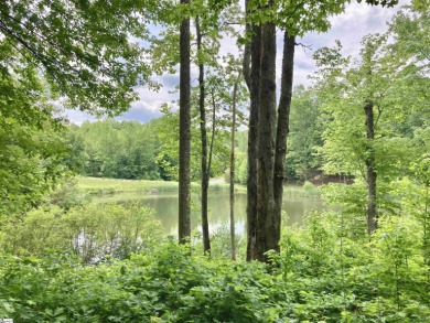 North Saluda Reservoir Lot For Sale in Travelers Rest South Carolina