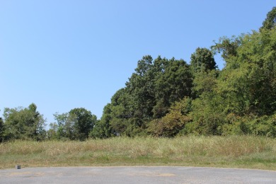 Lake Acreage Sale Pending in Decatur, Tennessee