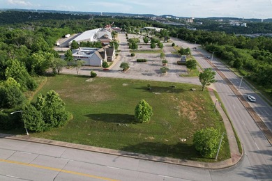Prime corner lot in Branson! This high-visibility corner lot is - photo 3