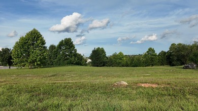 Prime corner lot in Branson! This high-visibility corner lot is - photo 5