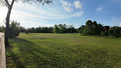 Prime corner lot in Branson! This high-visibility corner lot is - photo 6