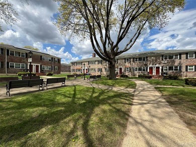 Move right into a SOUTH-facing, fully renovated, spacious, and - photo 10