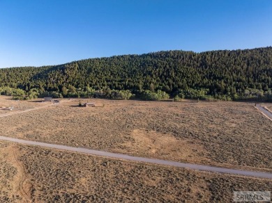 Own your own piece of paradise near pristine Henry's Lake. These - photo 17
