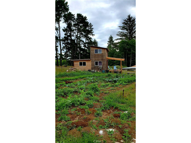4415 Woods Ln - photo 34