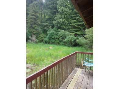 4415 Woods Ln - photo 43