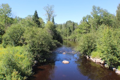 Chippewa River - Ashland County Acreage For Sale in Glidden Wisconsin