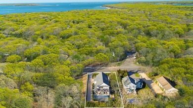Modern Elegance in Sag Harbor Village Discover an exquisite - photo 27