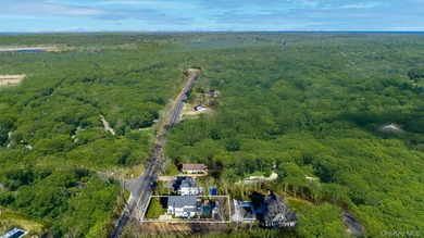 Modern Elegance in Sag Harbor Village Discover an exquisite - photo 28