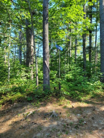 Lake Lot Off Market in Shapleigh, Maine