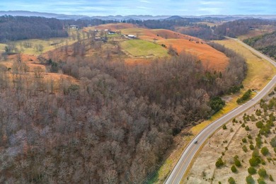 This truly is a one-of-a-kind East Tennessee property, offering - photo 33