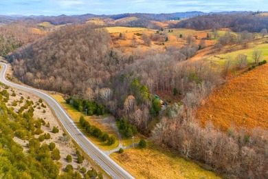 This truly is a one-of-a-kind East Tennessee property, offering - photo 34
