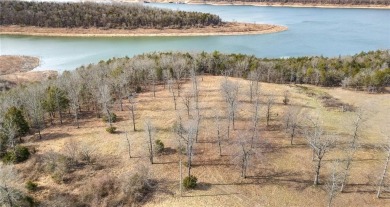 Lake Acreage For Sale in Lead Hill, Arkansas