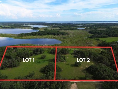 (private lake, pond, creek) Acreage For Sale in Umatilla Florida