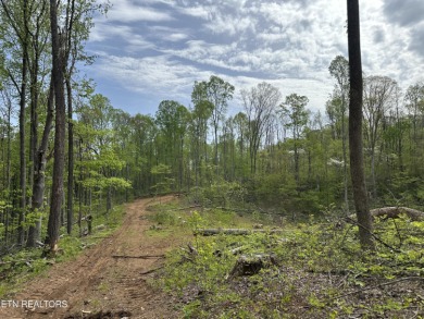 Norris Lake Acreage For Sale in Rocky Top Tennessee