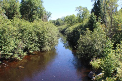 Chippewa River - Ashland County Acreage For Sale in Glidden Wisconsin