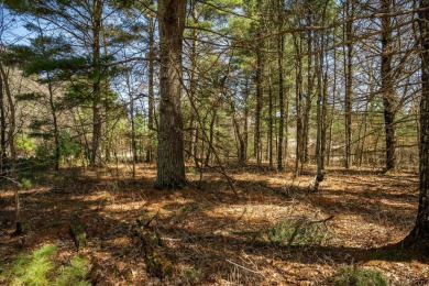Lake Lot For Sale in Nekoosa, Wisconsin