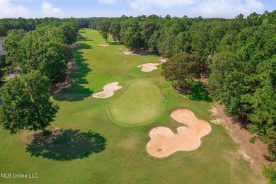 This golf course frontage lot in Canebrake is surrounded by - photo 15
